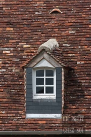 france, region normandie, calvados, pays d auge, la chapelle haute grue, Manoir des Tourneurs,